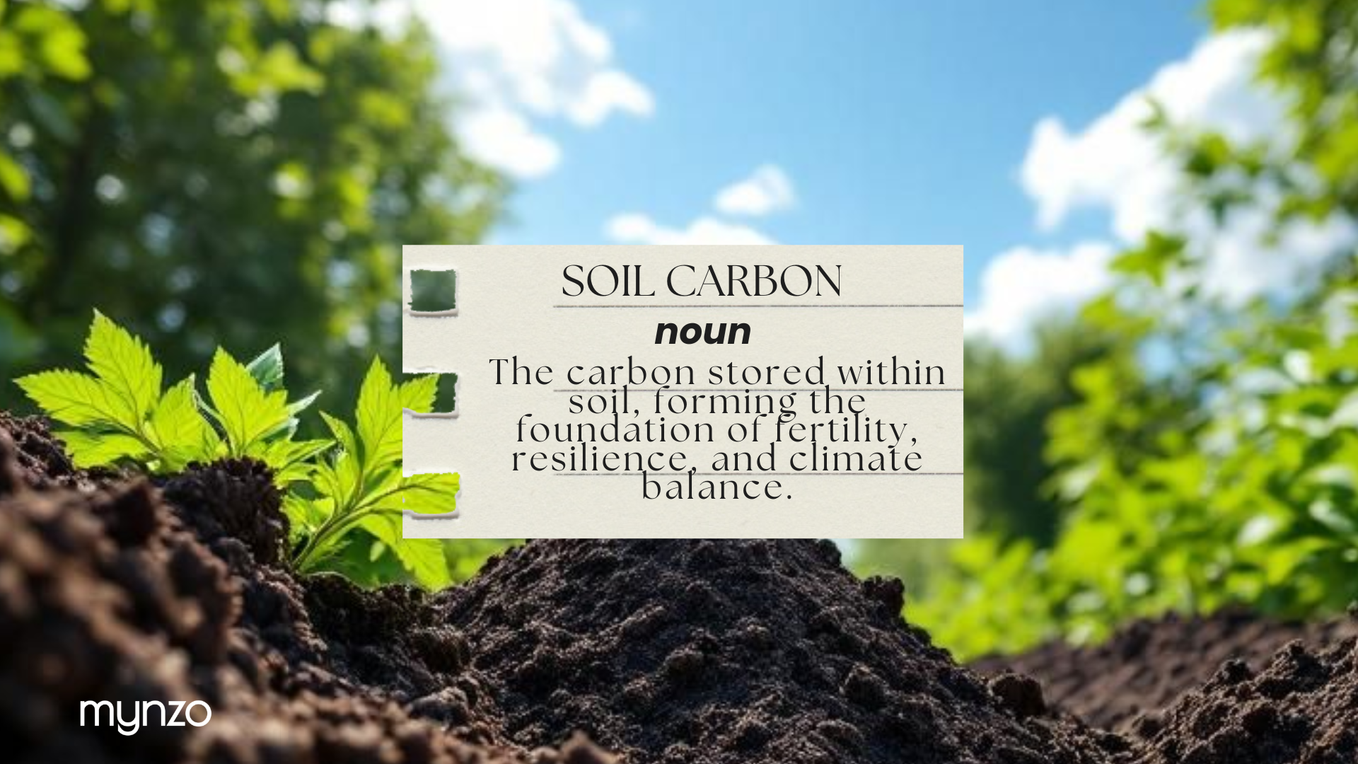 The Hidden Life of Soil