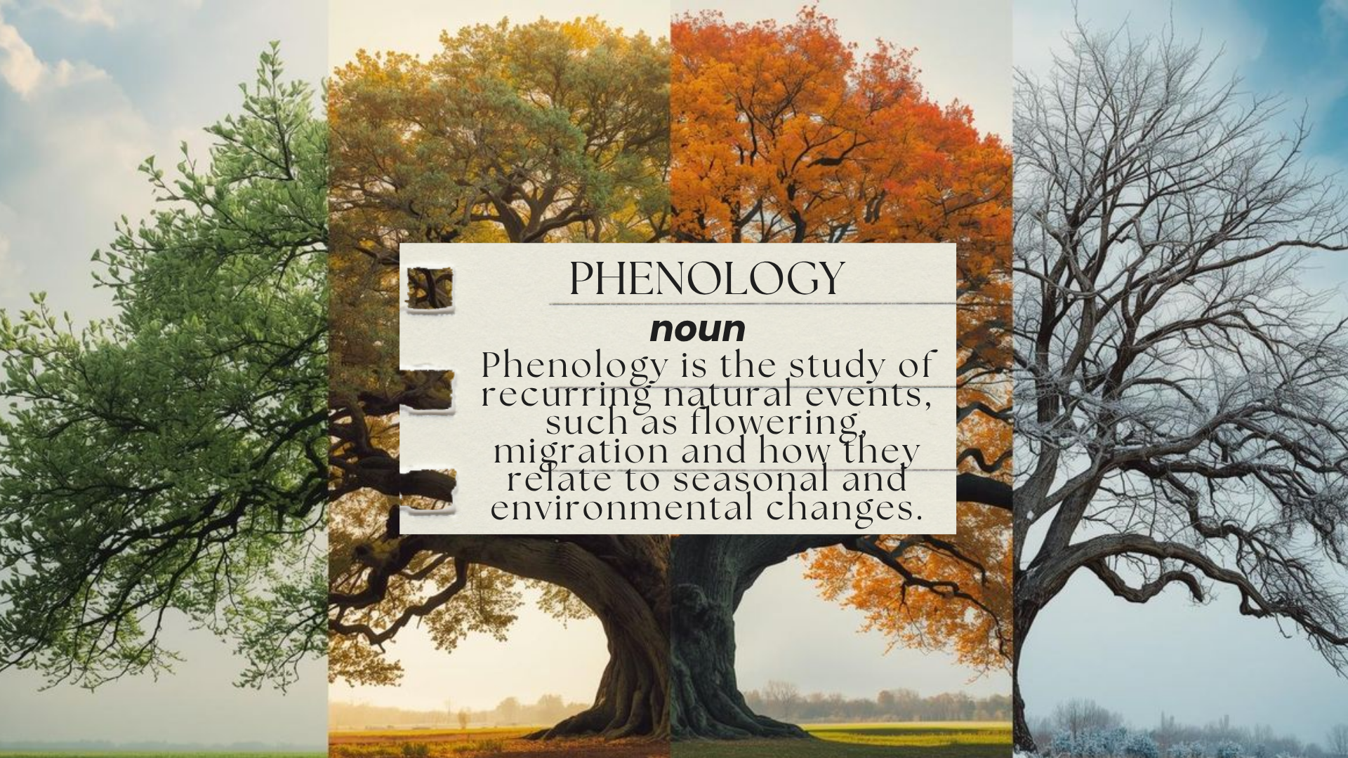 The Wisdom of Seasons